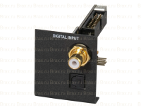 Brax DSP Core - Digital Input SPDIF